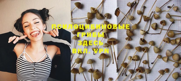 мяу мяу мука Алзамай